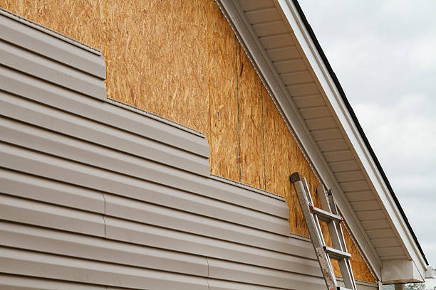 Professional Wood Siding technician working in Eagle Lake, MN